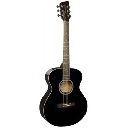 Brunswick BF-100 New Acoustic Guitar