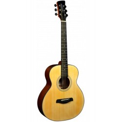 Brunswick BSM-100 Acoustic Guitar