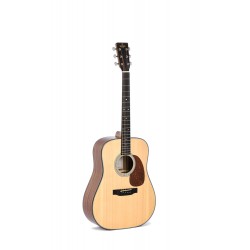 Sigma DM-1 NEW Acoustic Guitar IN STOCK NOW 