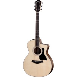 Taylor 114ce  NEW Acoustic Guitar    